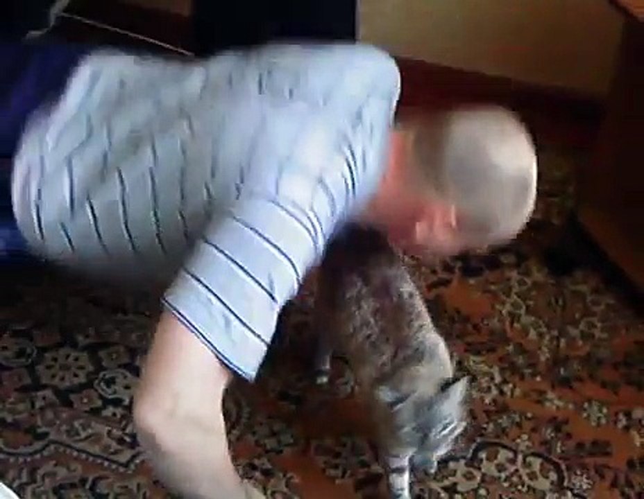Curious Cat Interrupts Push Ups