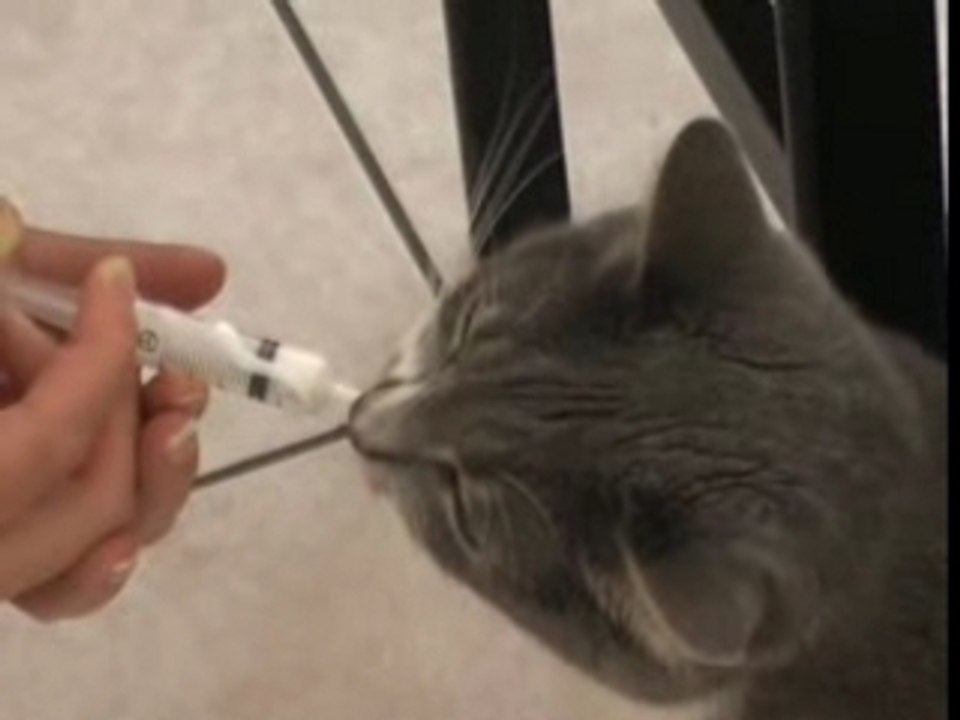 voyou medicament
