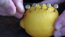 Un ragazzo mette dei chiodi nel limone... Ecco perché!