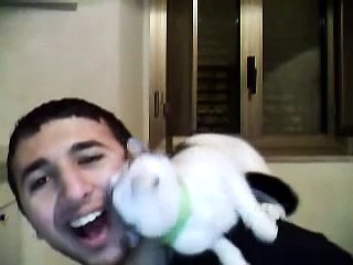 Le chat le plus câlin du monde