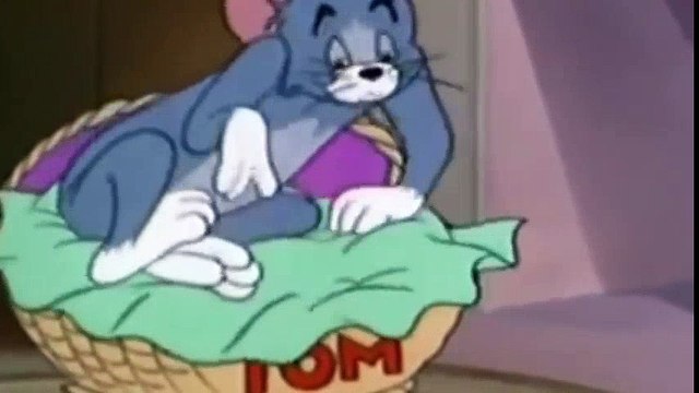 Tom and Jerry with his old friend the elephant high quality Tom And Jerry Cartoons