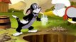 tom and jerry and the gold 2013  Tom And Jerry Cartoons