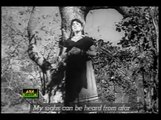 SUPERHIT OLD PAKISTANI PUNJABI FILM SAD SONGS(Risingformuli) (2)