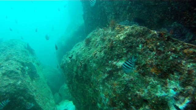 Venha mergulhar, pedalar, nos Mares, venha conhecer a ilha Oceânica da Rapada, Ubatuba, SP, Brasil, (5)