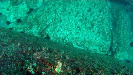 Venha mergulhar, pedalar, nos Mares, venha conhecer a ilha Oceânica da Rapada, Ubatuba, SP, Brasil, (6)