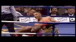 Boxing's Greatest Fights & Knockouts Tribute  Best Boxers Ever