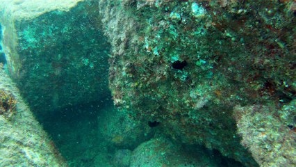 Venha mergulhar, pedalar, nos Mares, venha conhecer a ilha Oceânica da Rapada, Ubatuba, SP, Brasil, (8)