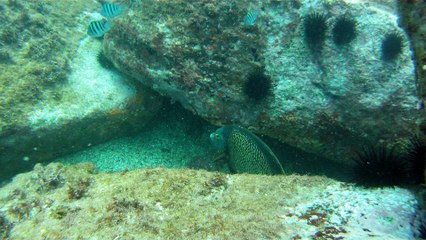 Venha mergulhar, pedalar, nos Mares, venha conhecer a ilha Oceânica da Rapada, Ubatuba, SP, Brasil, (10)