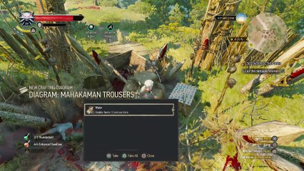 THE WITCHER 3 WALKTHROUGH PART 135 - DEFENDER OF THE FAITH