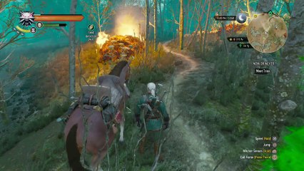 THE WITCHER 3 WALKTHROUGH PART 137 - NOW OR NEVER