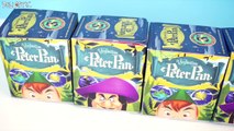 Disney Peter Pan Vinylmation Surprise Toys Blind Boxes - 디즈니 피터팬 랜덤 피규