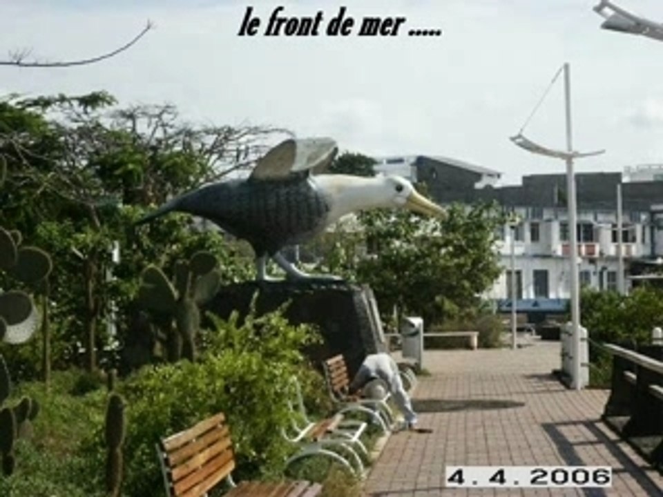 Galapagos - Santa Cruz