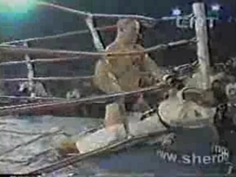 Valetudo vs taekwondo - Vanderlei Silva Ufc Pride Muay Thai