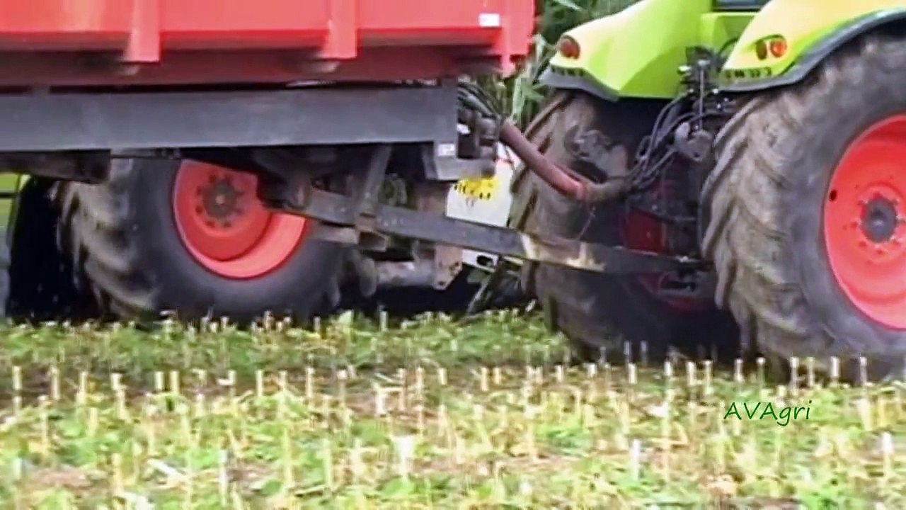 Ensilage du maïs 2009