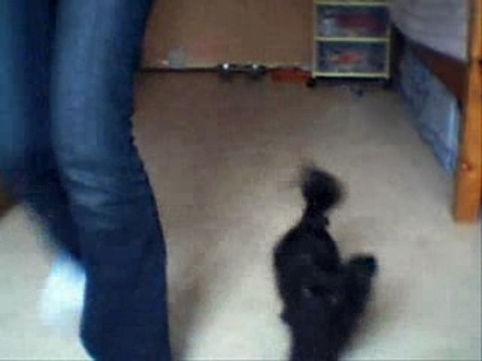 1er choré d'obr avc Bridget 08.06.07