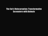 Read The Cat's Reincarnation: Transformative Encounters with Animals Ebook