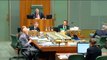 Andrew Wilkie NDIS disability advocacy amendments