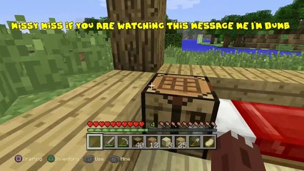 Minecraft Playstation - House Improvements [3]