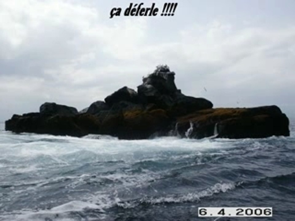 Galapagos - Isabela