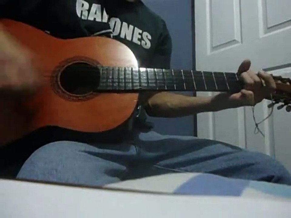 The Cranberries - Animal Instinct (Guitar Cover)