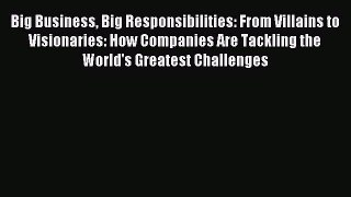 Read Big Business Big Responsibilities: From Villains to Visionaries: How Companies Are Tackling
