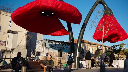 İlk Kez Duyacağınız 12 Fotoğraflı Bilgi