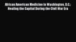 Read African American Medicine in Washington D.C.: Healing the Capital During the Civil War