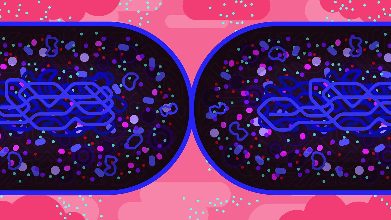 The Antibiotic Apocalypse Explained