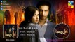 Gul E Rana Full Audio OST - Sajjal Ali - Feroze Khan - HUM TV Drama