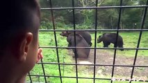 サファリパーク キッズパトロール体験 キリンにエサあげたよ♫  動物園 おでかけ Fuji Safari park Zoo