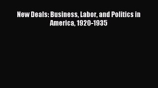 Download New Deals: Business Labor and Politics in America 1920-1935 PDF Online