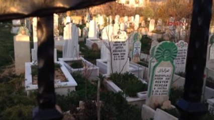 Konya Mezarlıkta Kesik Bacak Paniği