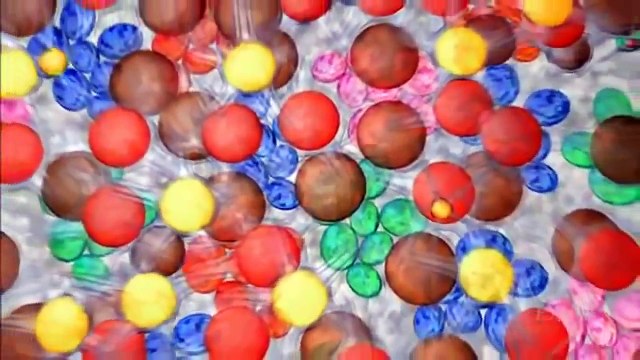 King of camouflage - Cuttlefish ( Documentary )