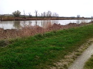 buongiorno good morning