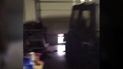 Ce chien essaye de sortir un os énorme par la trappe de la porte