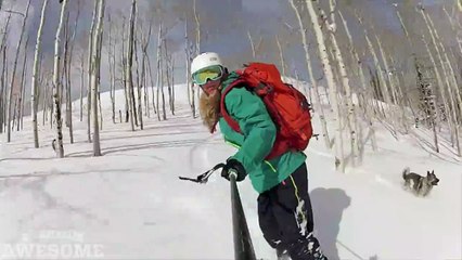 Ce chien suit son maitre snowboardeur dans la poudreuse!