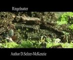 Ringelnatter Schlangen Tiere Animals SelMcKenzie Selzer-McKenzie
