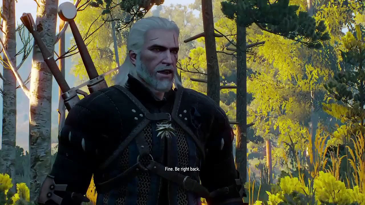 The witcher 3 - part 16
