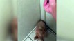 Adorable Dog Doesnt Want Owner to Leave- TinyJuke.com