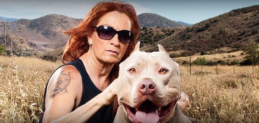 Pitbulls et prisonniers VF - L' entente