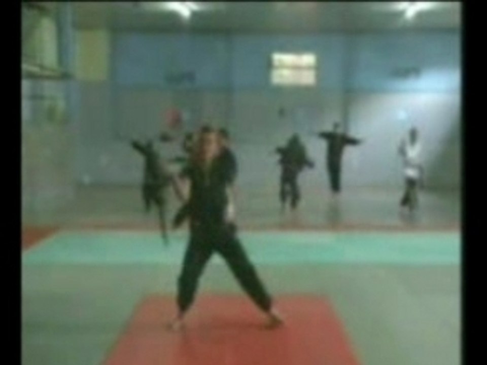 DAO SHU (sabre)