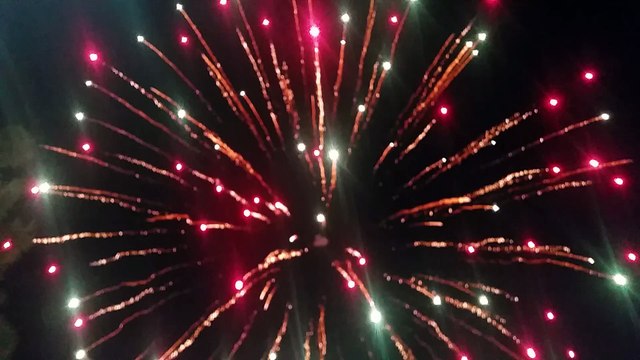 Dita e Verës - Elbasan 2016