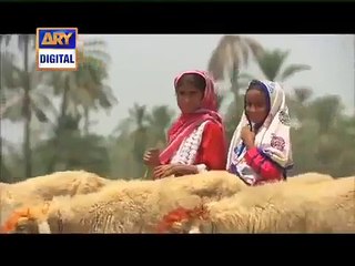 Ramazan Sharif - Naat - Amir Liaquat - 2015 -