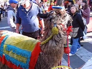 Feria de Mataderos in Buenos Aires