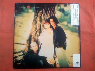 PRESUNTOS IMPLICADOS.''SER DE AGUA.''.(ANDAS JUNTO A MI.)(12'' LP.)(1991.)