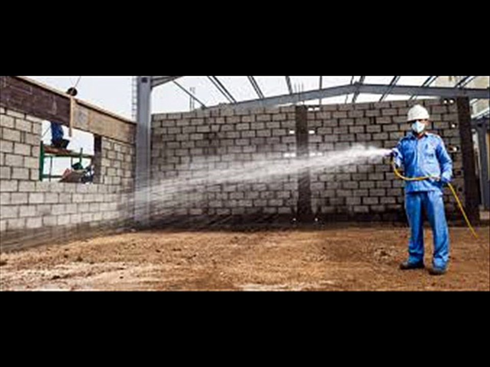 Terminate Termites With Termidor