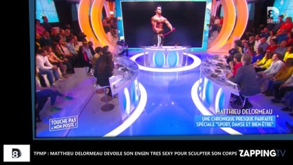 TPMP : Matthieu Delormeau dévoile son engin très sexy pour sculpter son corps (Vidéo)