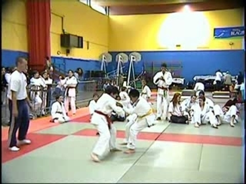 Ippon Max Blagnac 2005