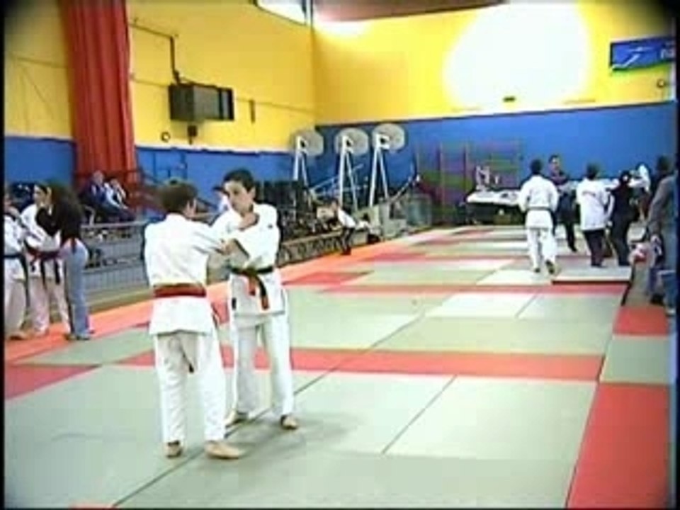 Ippon Sylvain Blagnac 2005