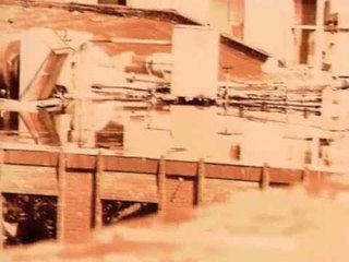 Noise Box "Monkey Ass"